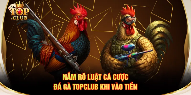 Nắm rõ luật cá cược đá gà TOPCLUB khi vào tiền